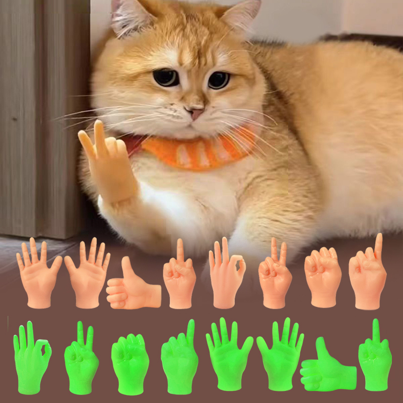 Creative Cat Interactive Funny - Interactive Cat Toy ulasan dan harga