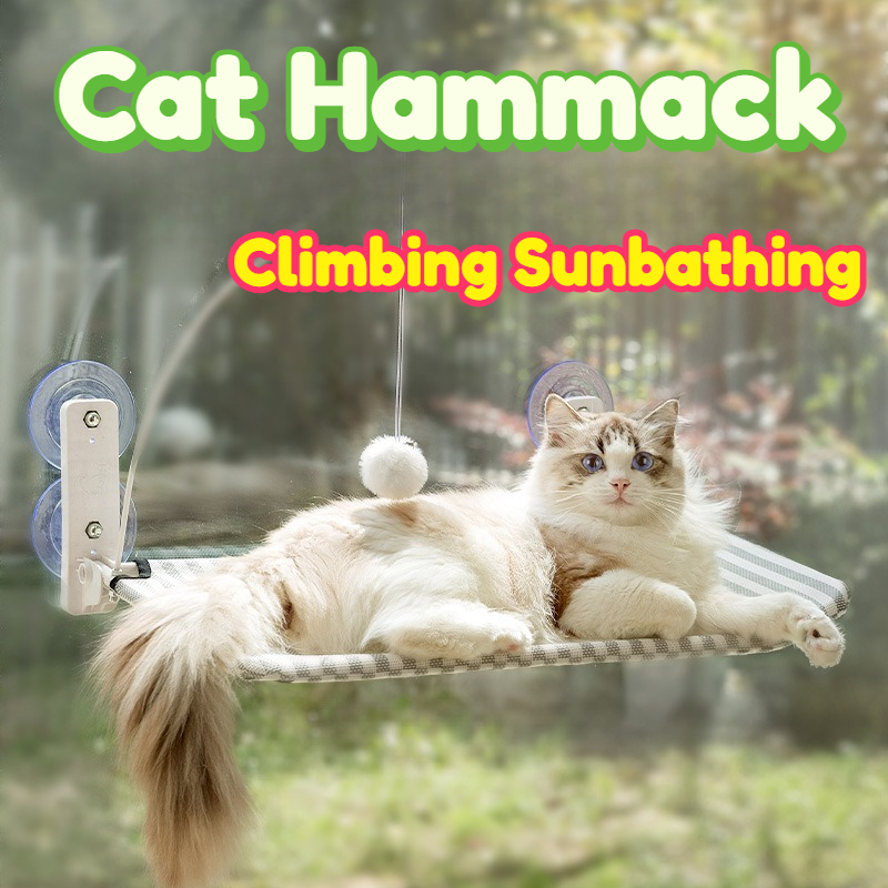 Cat Hammock Window Hanging Per - Interactive Cat Toy ulasan dan harga