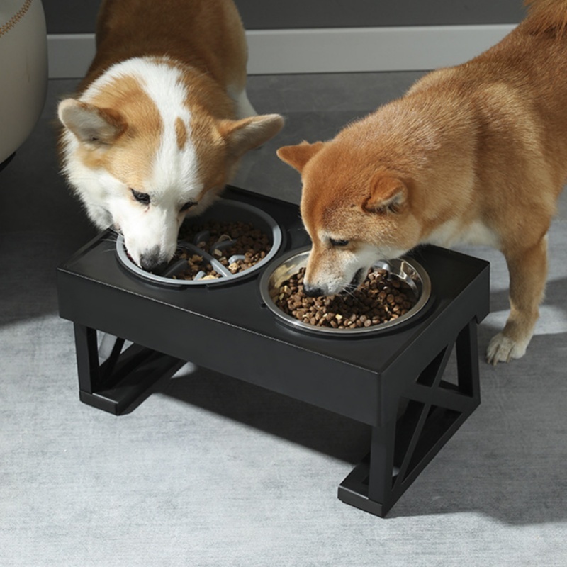 Slow Feeder Dog Bowl Improve D - Slow Feeder Dog Bowl ulasan dan harga