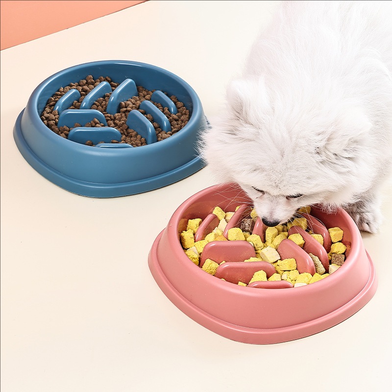 Pet Supplies Dogs and Cats Slo - Slow Feeder Dog Bowl ulasan dan harga
