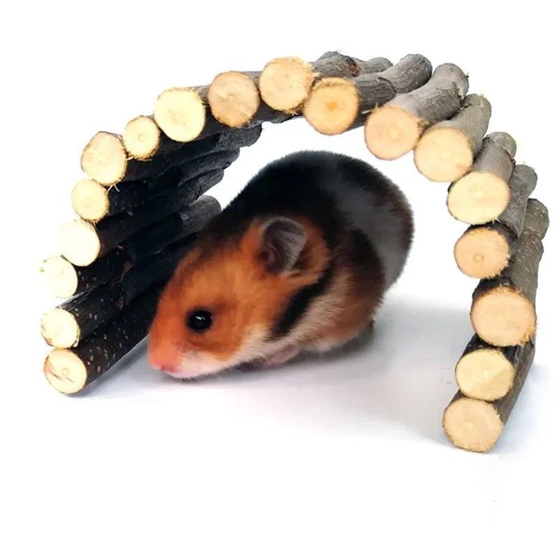 Small Pet Molar Willow Branch  - Pet Supplies Login ulasan dan harga