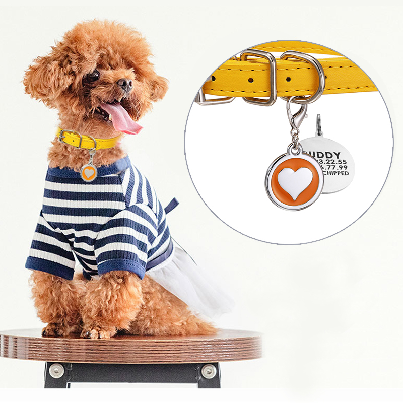 Pet Cat Dog Leather Collar Sta - Pet Supplies Login ulasan dan harga