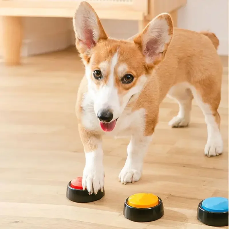 2026 Recordable Talking Pet Bu - Interactive Cat Toy ulasan dan harga