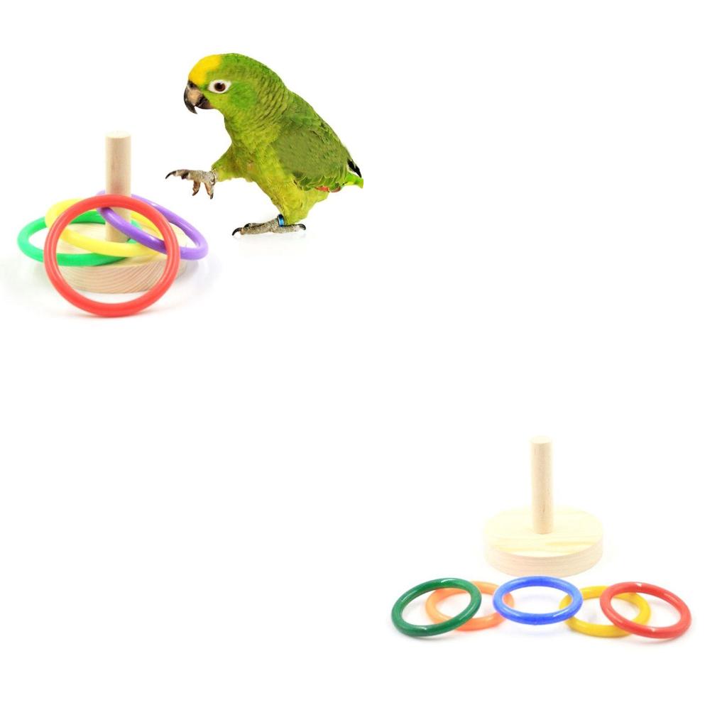 Bird Parrot Wooden Platform Pl - Pet Supplies Ringwood ulasan dan harga