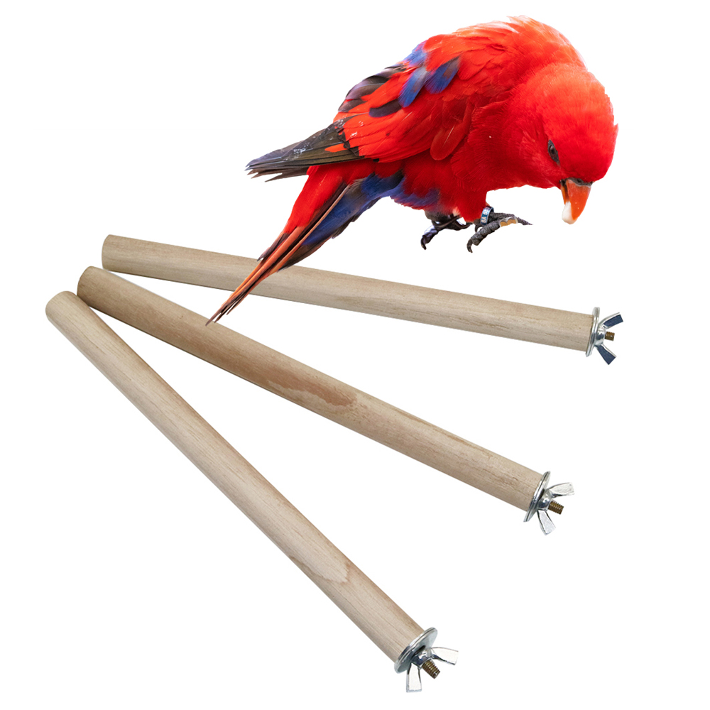 1 Pc Parrot Pigeon Pet Bird Lo - Pet Supplies Login ulasan dan harga