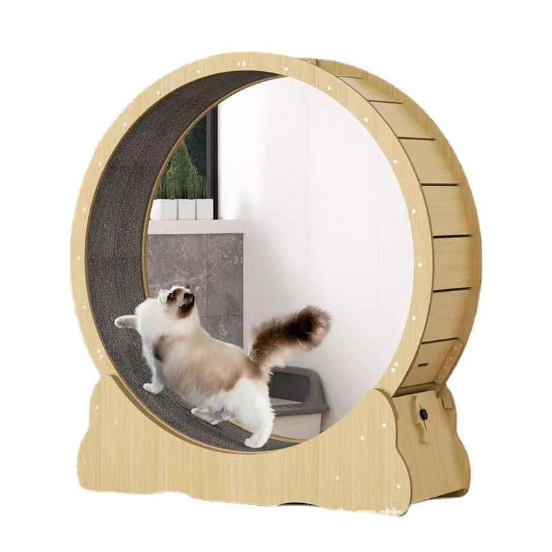 Cat fitness wheel indoor toy c - Interactive Cat Toy ulasan dan harga