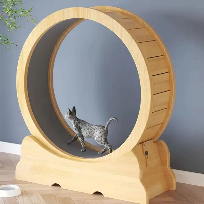 Cat fitness wheel indoor toy c - Interactive Cat Toy ulasan dan harga