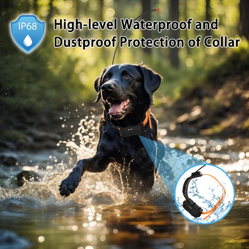 2026 Canine Health GPS Tracker - Pet Supplies Login ulasan dan harga