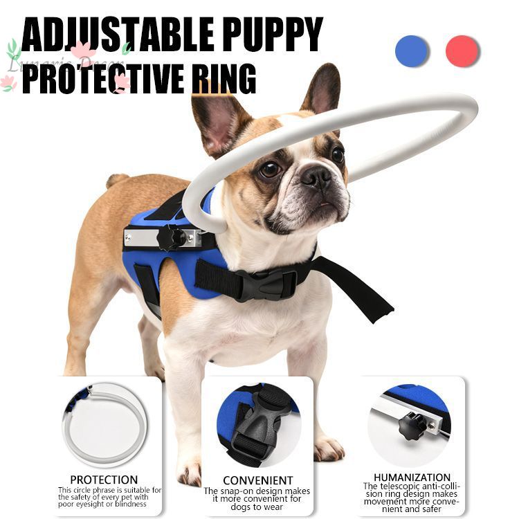 Obstacle protection cover, pea - Pet Supplies Ringwood ulasan dan harga