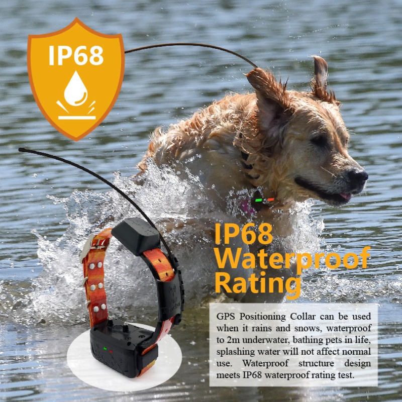Enterprise Dog GPS Fence Manag - Pet Supplies Login ulasan dan harga